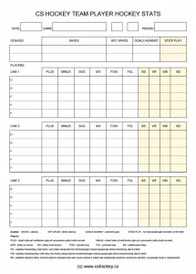 hockey-stats-sheet